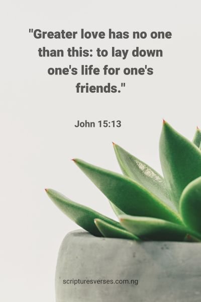 60 Amazing Bible Verses For Friendship Love