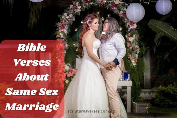 Bible Verses About Same Sex Marriage